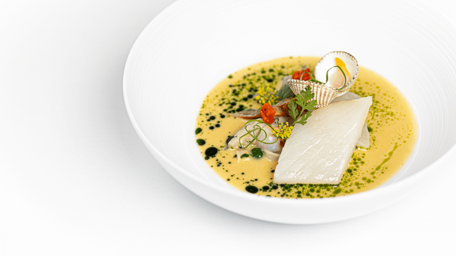 GRR 1890 FEBRUARY 2025 FOOD FISH CORNISH JOHN DORY13 uheszu 170325 1