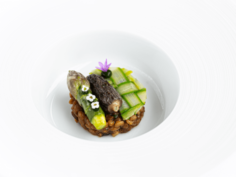 GRR PETRUS MARCH 2025 FOOD ORGANIC SPELT ASPARAGUS MORELS3 seexpq 170325 1
