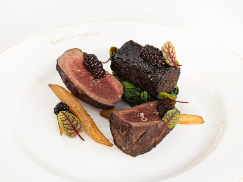 GRR SG JANUARY 2025 FOOD VENISON BLACKBERRY47 sxpfrz 170325 1